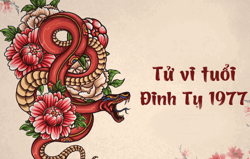 Tuoi Dinh Ty mang dac tinh linh hoat, la nguoi co trach nhiem nhung lai thanh cong kha muon
