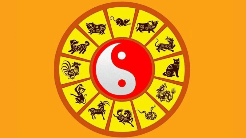 Trai qua 12 nam thi chu ky tam tai cua tuoi Quy Hoi 1983 se lien tuc lap lai o cac nam Ty, Ngo, Mui