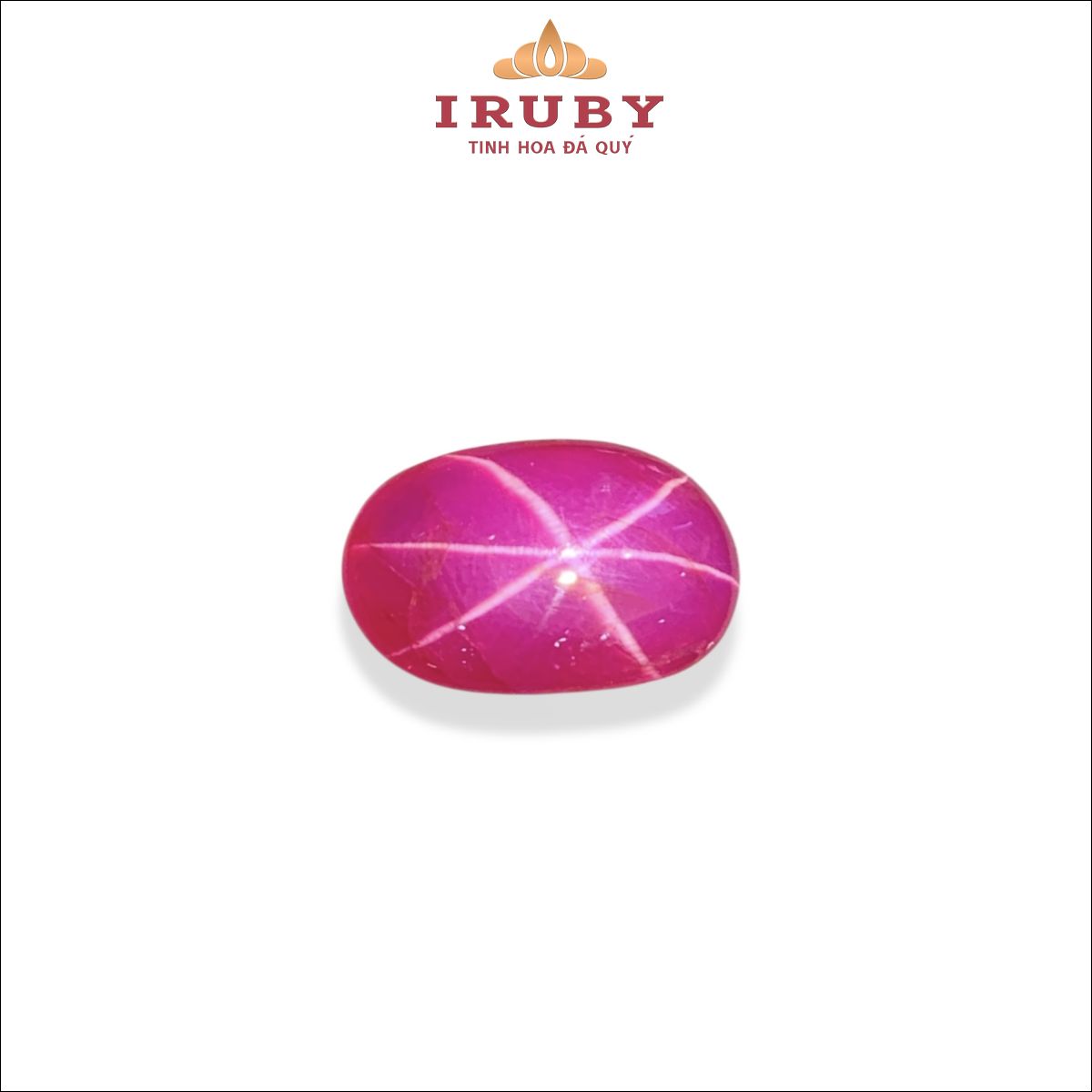 Đá Ruby sao nét cánh hồng tự nhiên 100% 7,25ct – IRSR 2602725