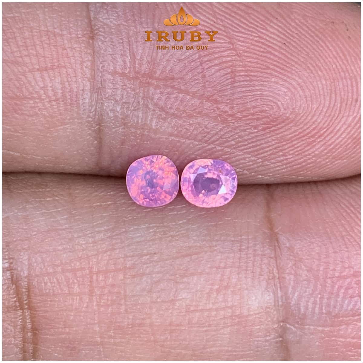Đôi đá Sapphire hồng 1,02ct - Luc Yen Sapphire - IRPS15 2635102 ảnh 6