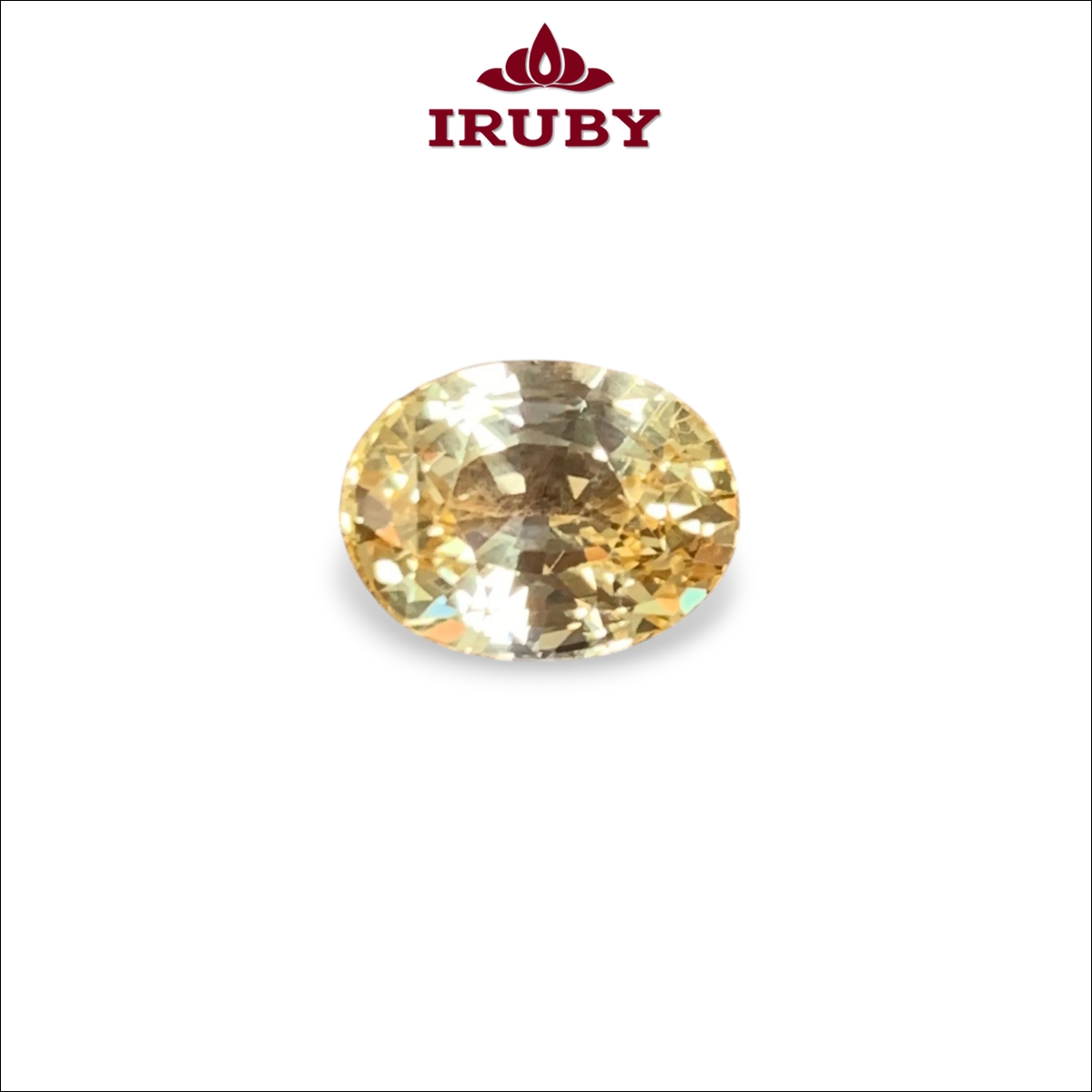 Đá Sapphire vàng Sri Lanka 3,04ct không nhiệt – Yellow Sapphire – IRHI36 261018304